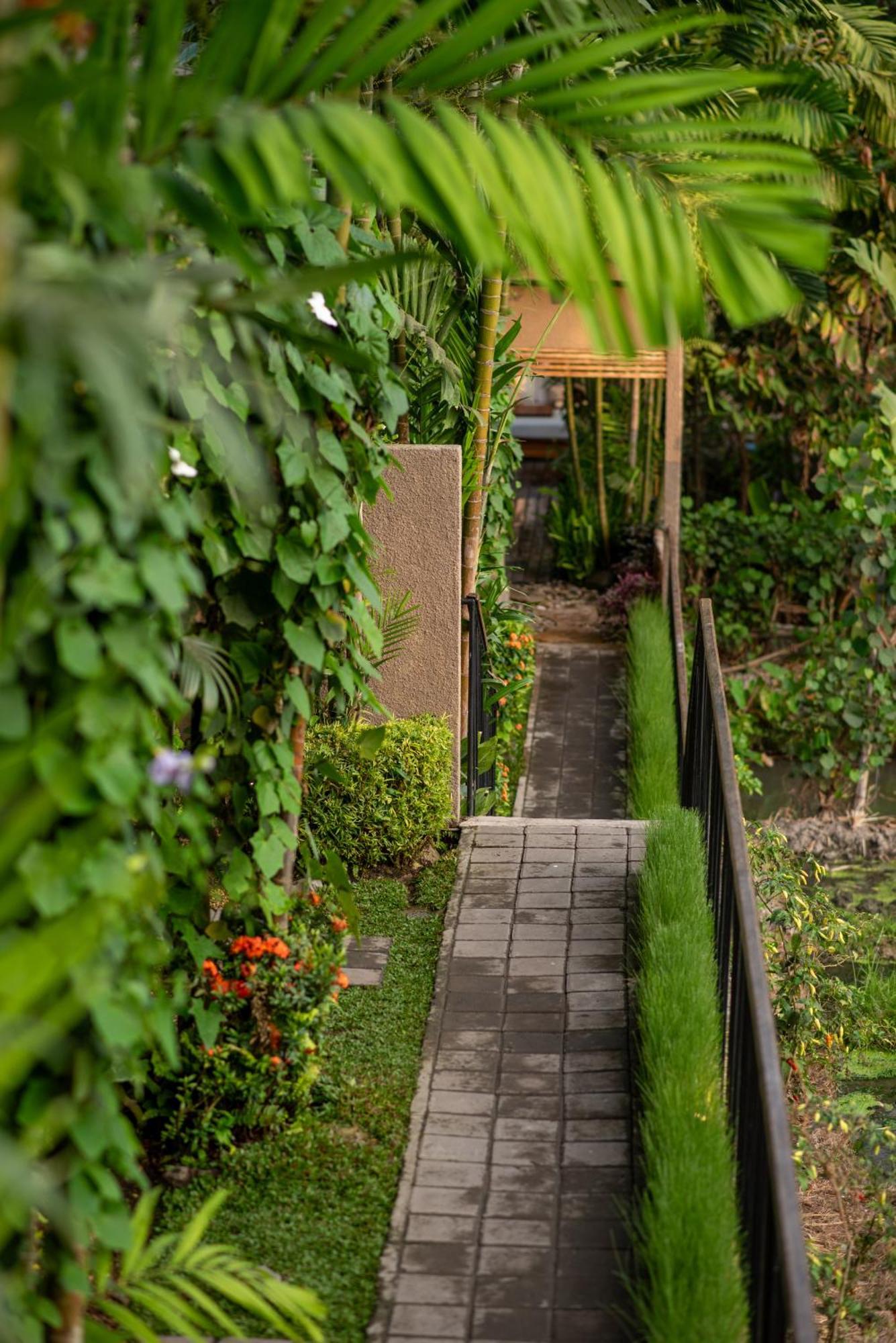 Pangkung Sari Bed And Breakfast ชังกู ภายนอก รูปภาพ