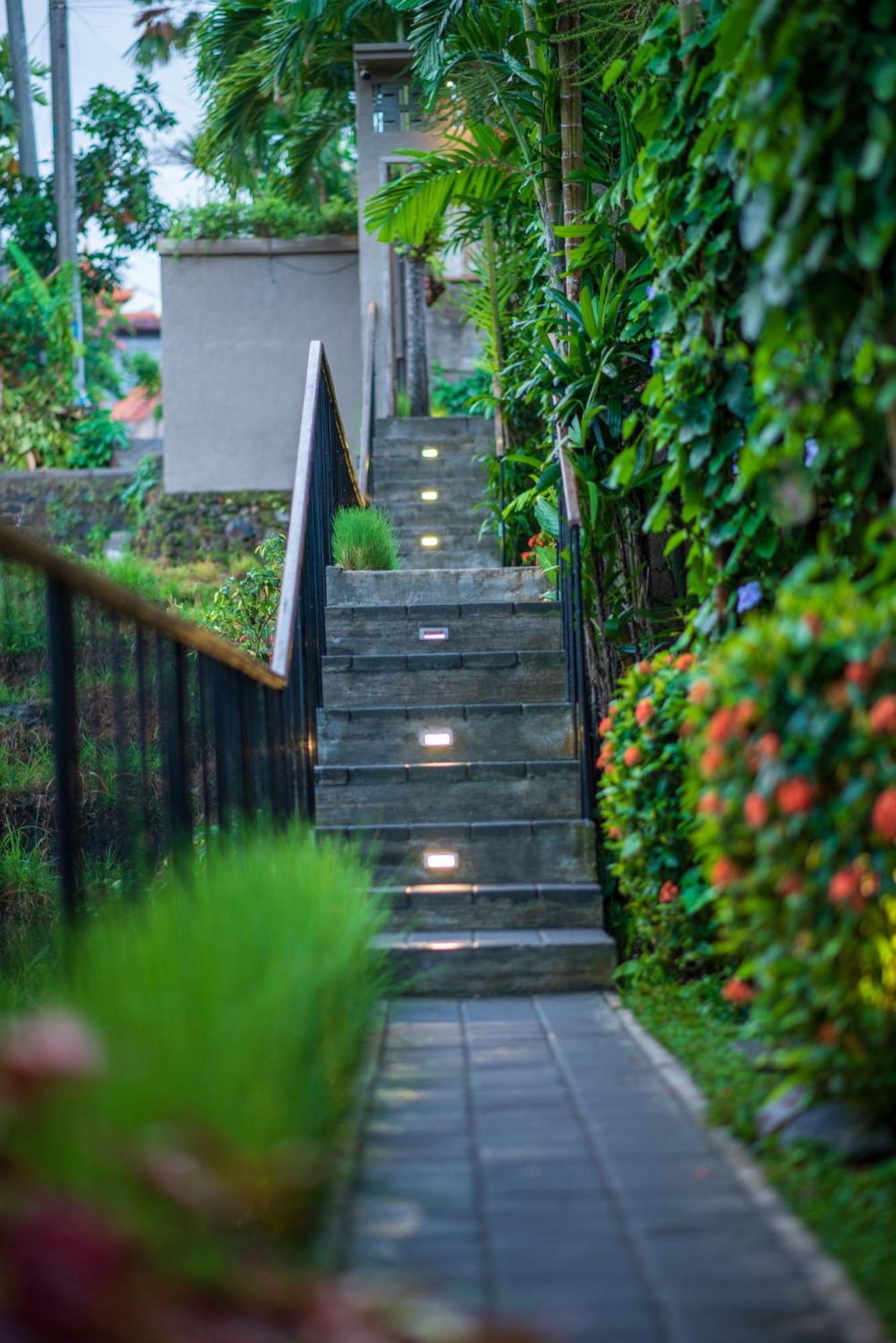 Pangkung Sari Bed And Breakfast ชังกู ภายนอก รูปภาพ