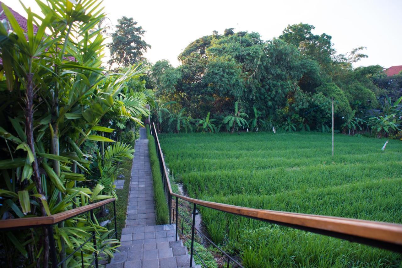 Pangkung Sari Bed And Breakfast ชังกู ภายนอก รูปภาพ