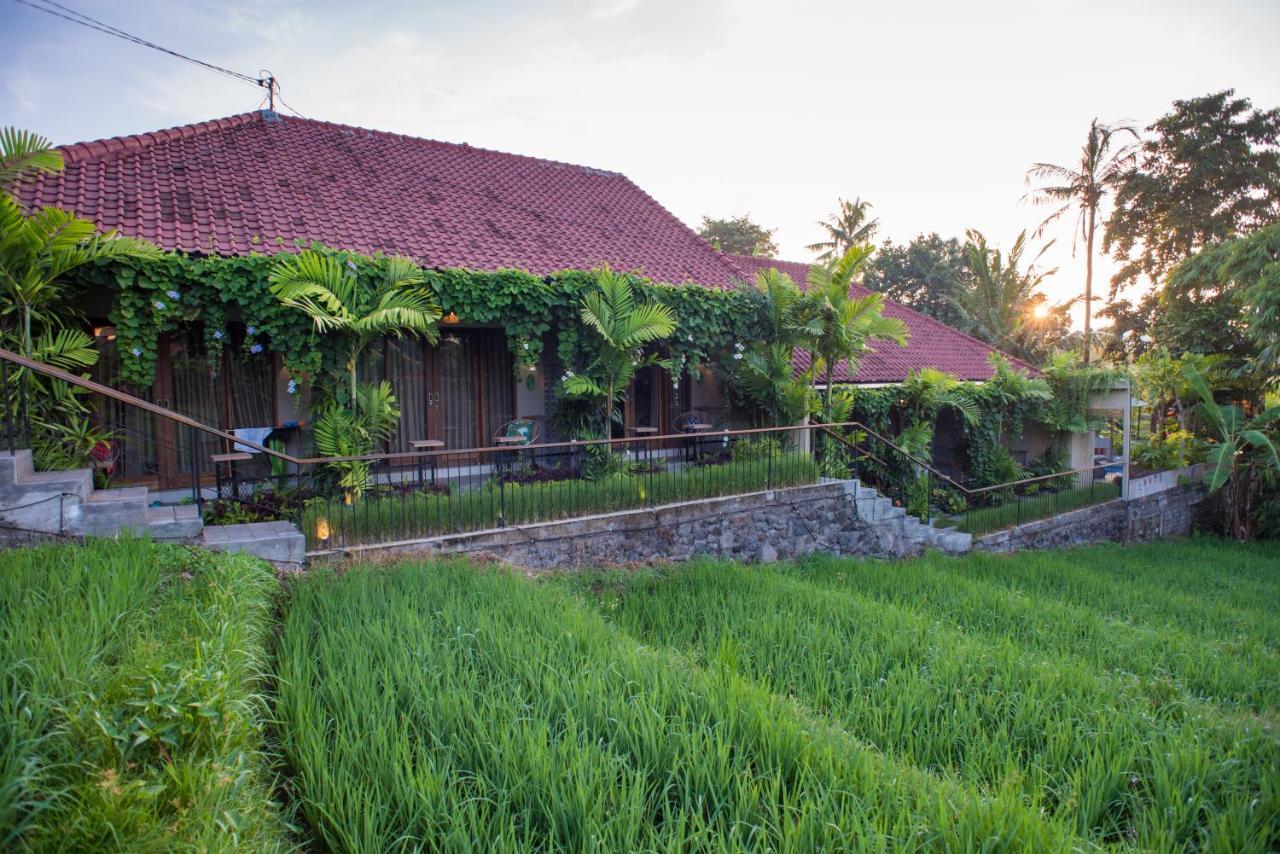 Pangkung Sari Bed And Breakfast ชังกู ภายนอก รูปภาพ